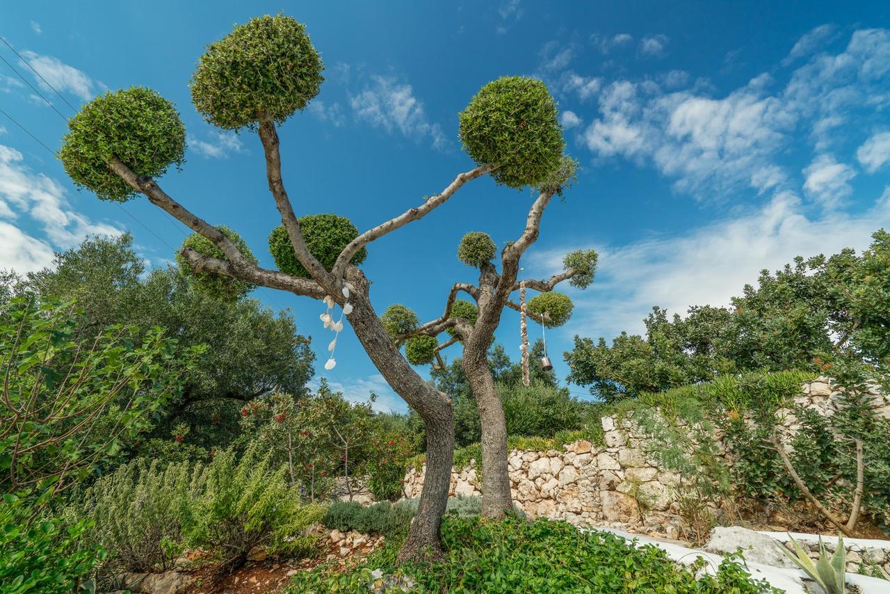 Askos Stone Villa - The Island Panorama آغيوس نيكولاوس المظهر الخارجي الصورة